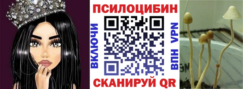 Галлюциногенные грибы GOLDEN TEACHER  Купить закладки  Реутов 